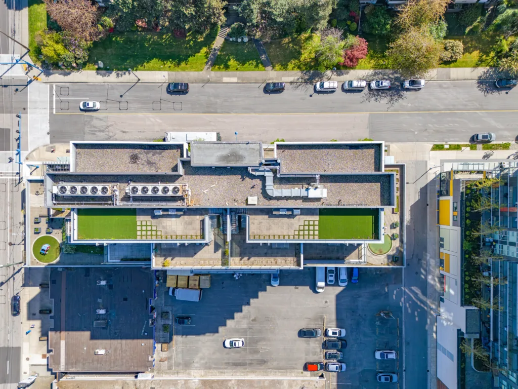 Elle Richmond other photo