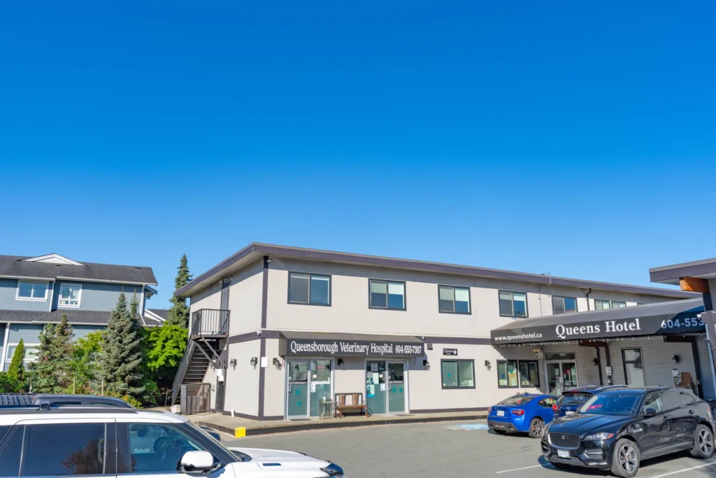 Queens Plaza other photo