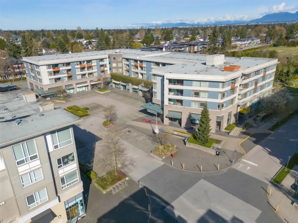 Camellia at The Gardens other photo
