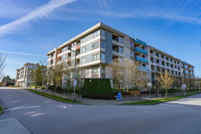 Camellia at The Gardens