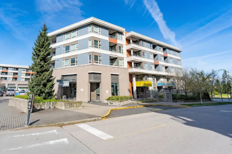 Camellia at The Gardens