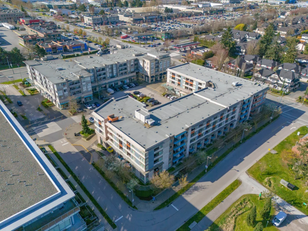 Camellia at The Gardens other photo