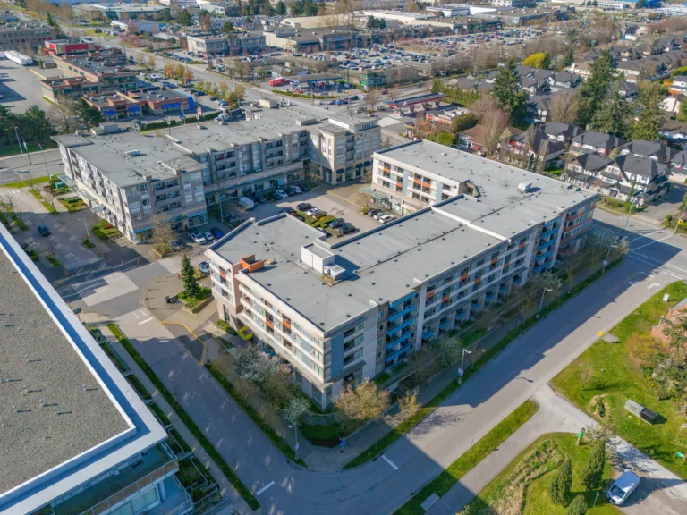 Camellia at The Gardens