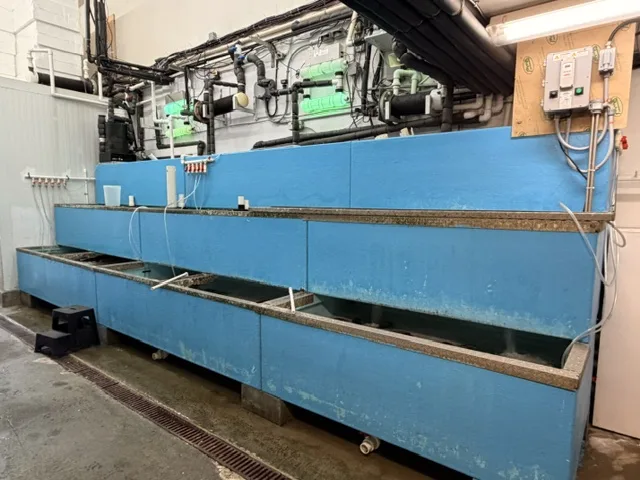 8851 Beckwith Road Unit 110 — seafood holding tanks and filtration equipment, Richmond