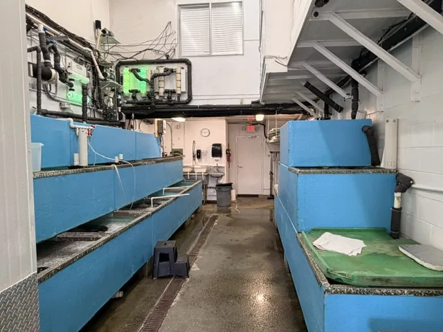 8851 Beckwith Road Unit 110 — seafood holding tanks inside warehouse, Richmond