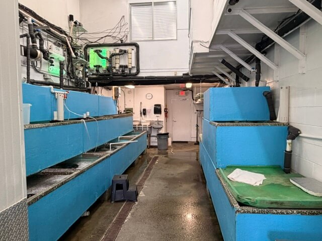 8851 Beckwith Road Unit 110 — seafood holding tanks inside warehouse, Richmond